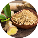 Maca - traditionnellement utilisée pour la vitalité