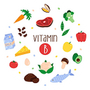 Vitamines B (B1 à B12) - participent au métabolisme énergétique